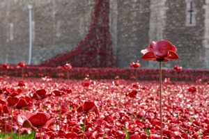 "Blood Swept Lands and Seas of Red" at the Tower of London
